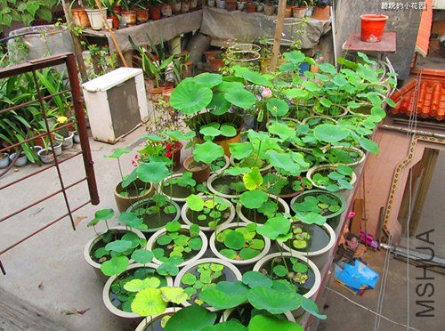 ��Ƭ 0110.jpg
