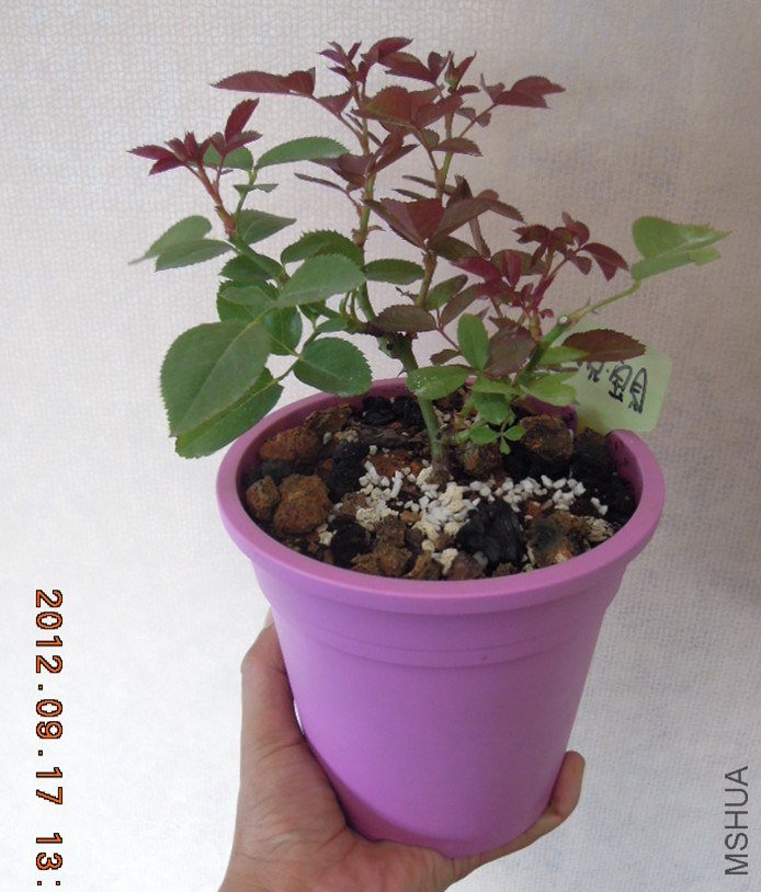 DSCN4058_����.jpg
