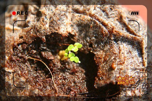 ��Ƭ 001_����.jpg