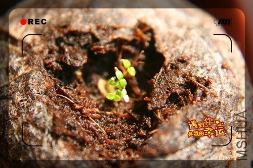 ��Ƭ 004_����.jpg