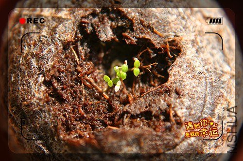 ��Ƭ 011_����.jpg