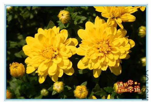 ��Ƭ 028_��ת_����.jpg