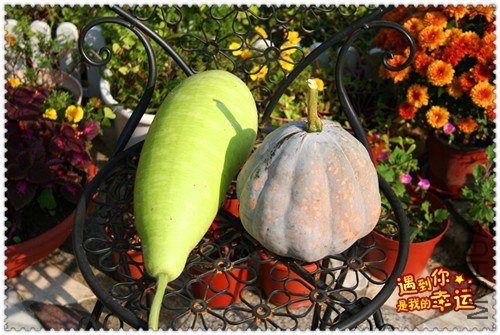 ��Ƭ 021_����.jpg