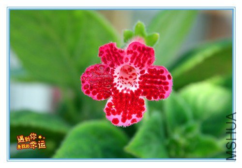 ��Ƭ 030_����.jpg