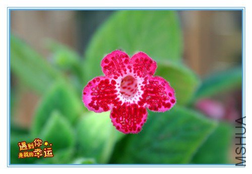 ��Ƭ 031_����.jpg