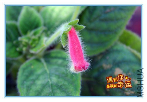 ��Ƭ 032_����.jpg