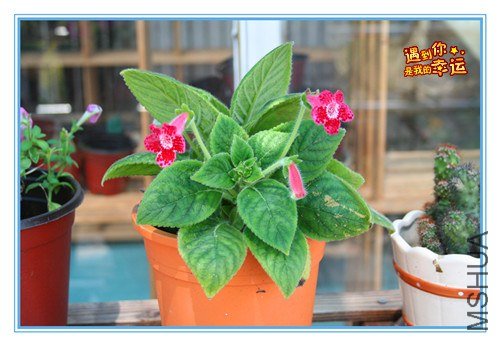 ��Ƭ 034_����.jpg