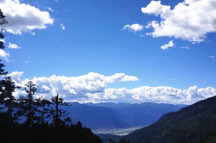 DSC01480_.jpg