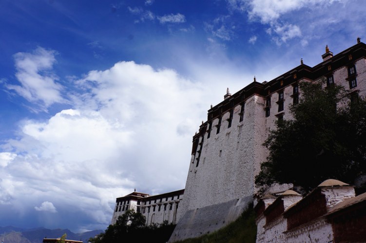DSC02242_.jpg