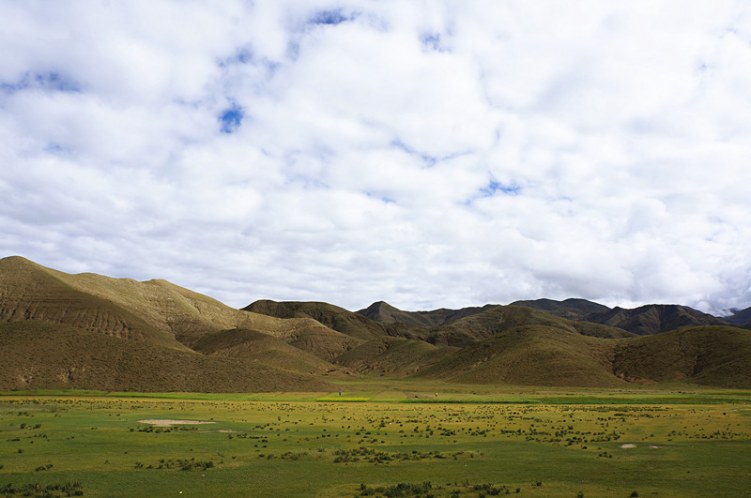 DSC02598_.jpg