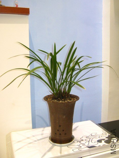 QQ��ͼ20121004193121.jpg
