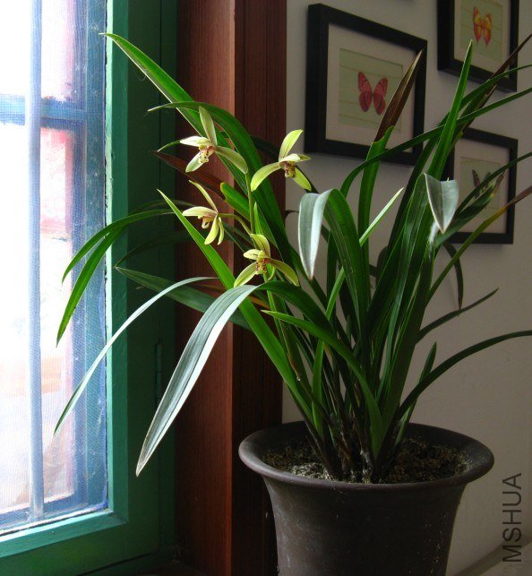 QQ��ͼ20121004193825.jpg