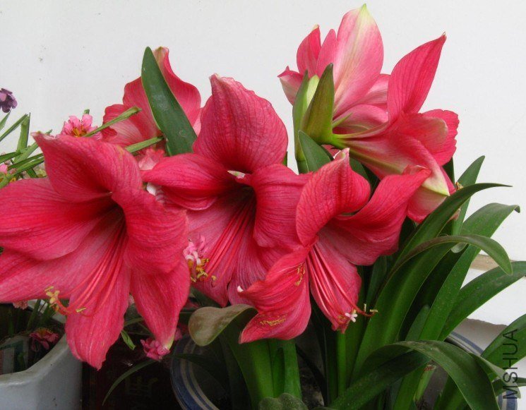 QQ��ͼ20121004193945.jpg