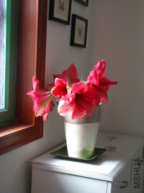 QQ��ͼ20121004193226.jpg