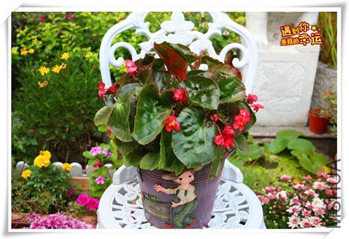 ��Ƭ 053_����.jpg