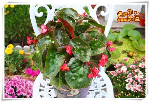 ��Ƭ 056_����.jpg