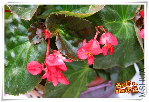 ��Ƭ 057_����.jpg