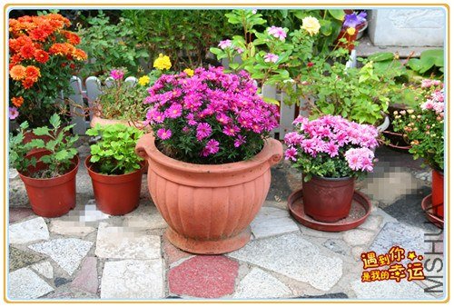 ��Ƭ 072_����.jpg