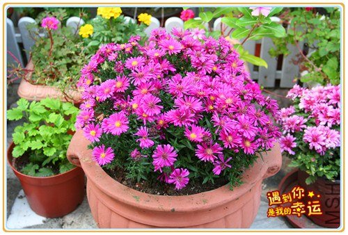 ��Ƭ 074_����.jpg