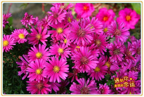 ��Ƭ 077_����.jpg