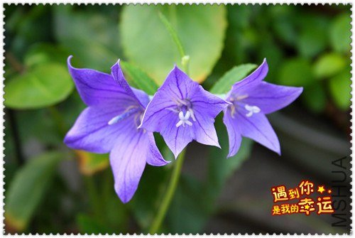 ��Ƭ 078_����.jpg