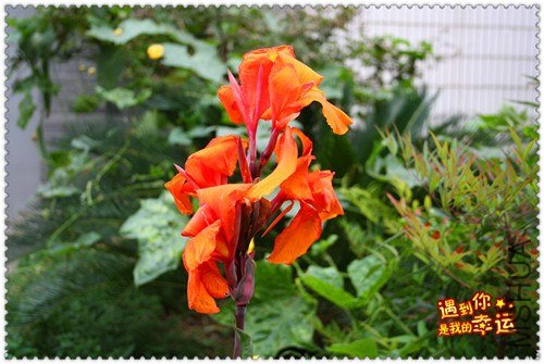 ��Ƭ 089_����.jpg