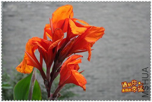 ��Ƭ 093_����.jpg