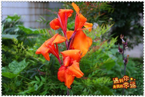 ��Ƭ 096_����.jpg