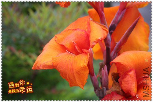 ��Ƭ 099_����.jpg