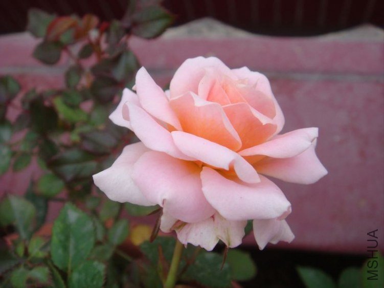 TN_DSC03115.JPG