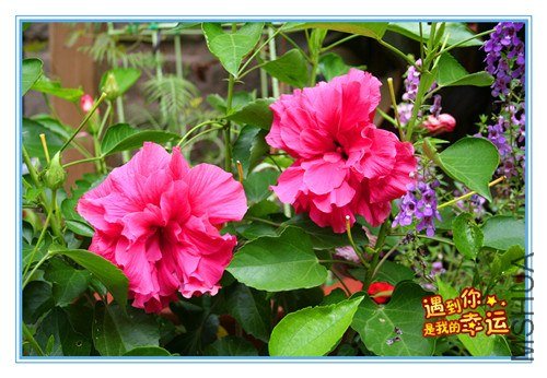 ��Ƭ 005_����.jpg