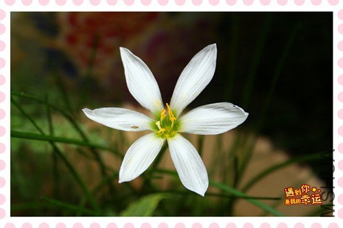 ��Ƭ 008_����.jpg