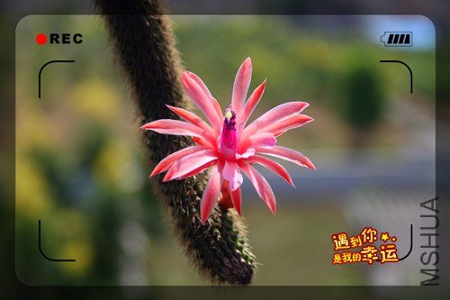 ��Ƭ 021_����.jpg