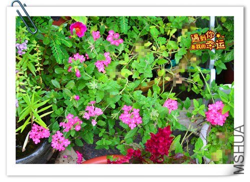 ��Ƭ 019_����.jpg