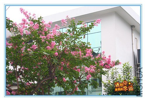 ��Ƭ 106_����.jpg