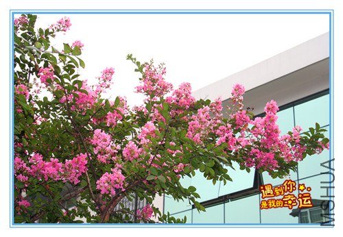 ��Ƭ 109_����.jpg