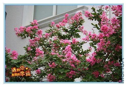 ��Ƭ 111_����.jpg