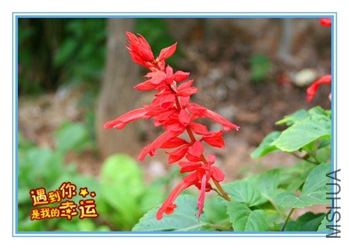 ��Ƭ 084_����.jpg