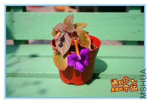 ��Ƭ 001_����.jpg