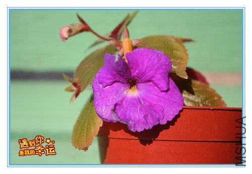 ��Ƭ 003_����.jpg