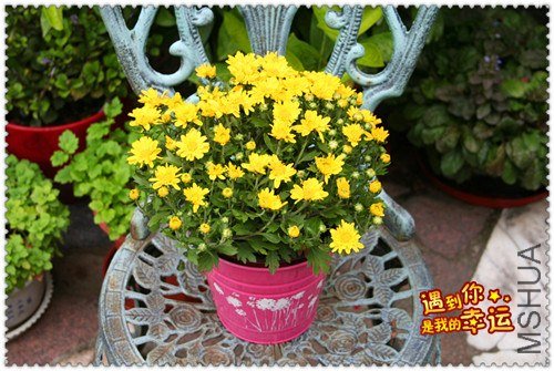 ��Ƭ 022_����.jpg