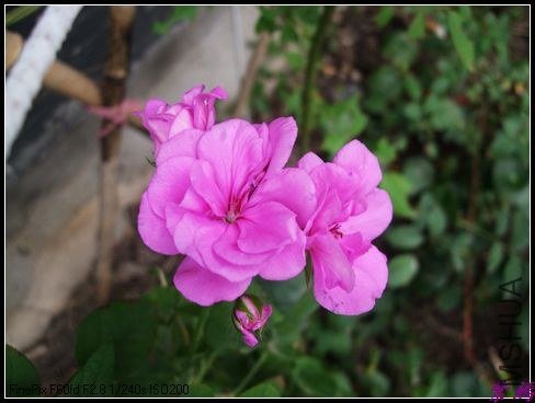 ��һ����ˮ��