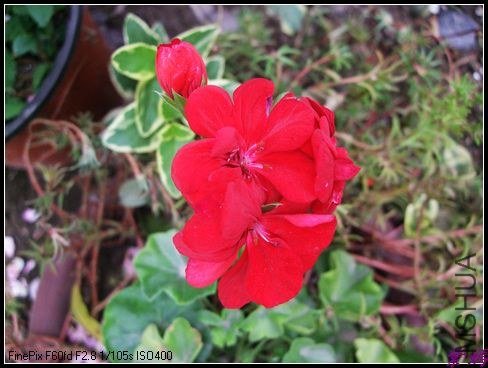 ������ĵò���,ʵ�ﰵһЩ.һ