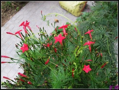 DSCF3243.jpg