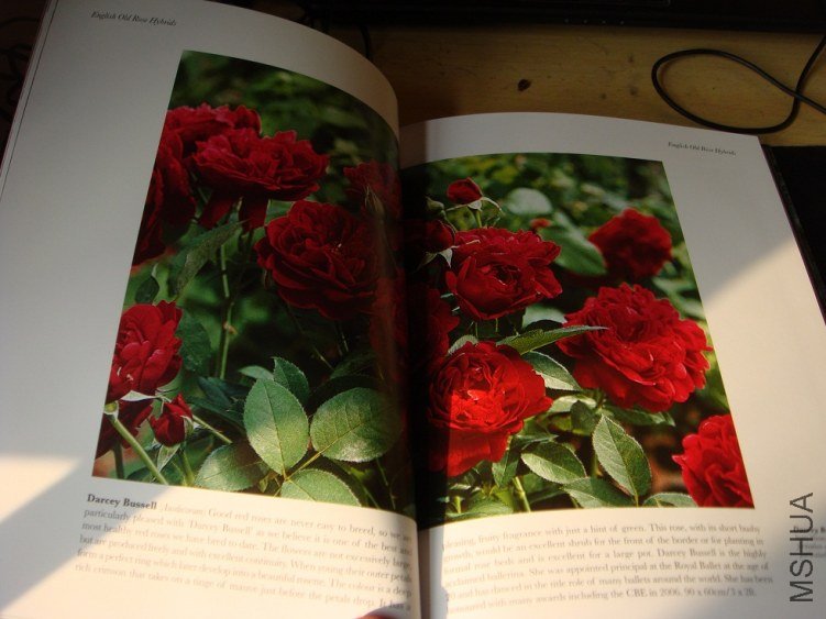 DSC01368.JPG