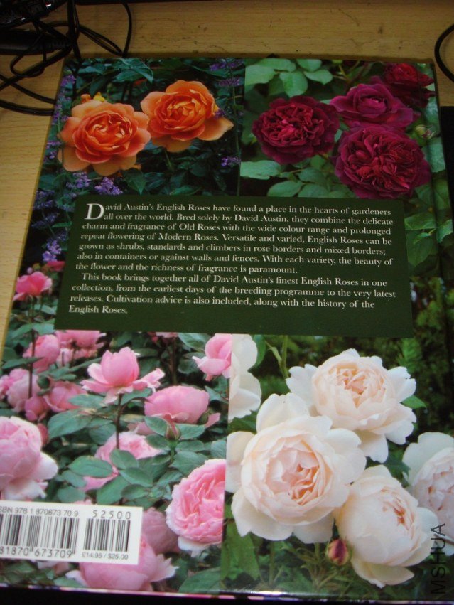 DSC01375.JPG