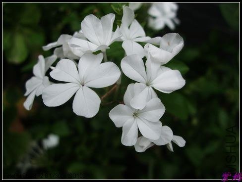 DSCF3218.jpg