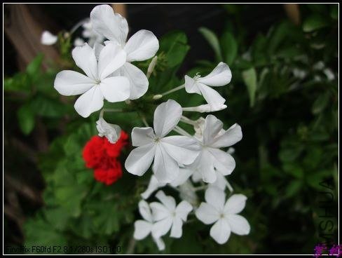 DSCF3229.jpg