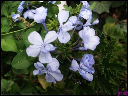 DSCF3228.jpg