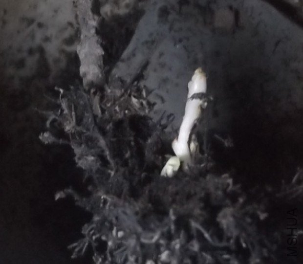 QQ��ͼ20121007201005.jpg